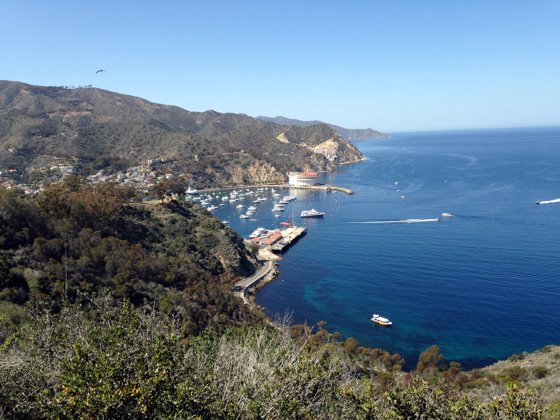 Catalina Cruise, March 2014 — travel photo 13