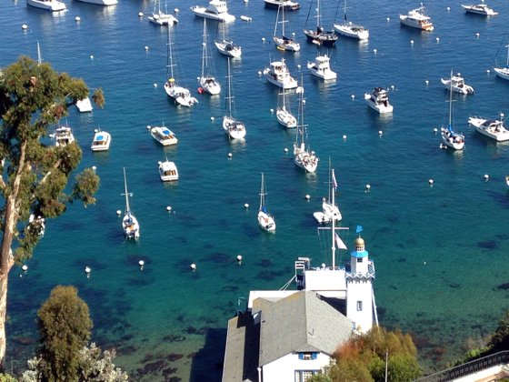 Catalina Cruise, March 2014 — travel photo 18