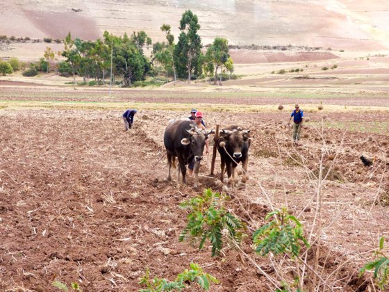 Peru, September 2014 — travel photo 15