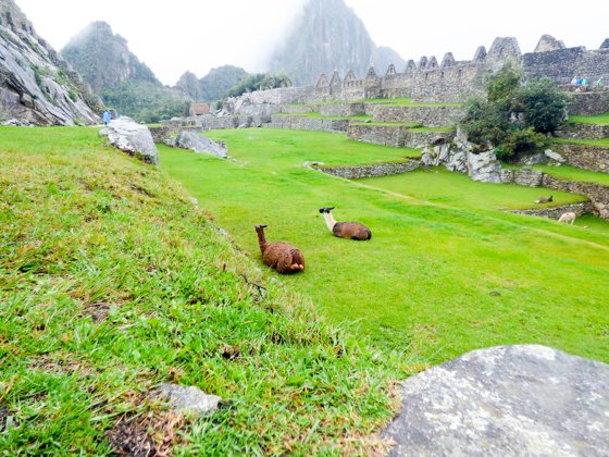 Peru, September 2014 — travel photo 55