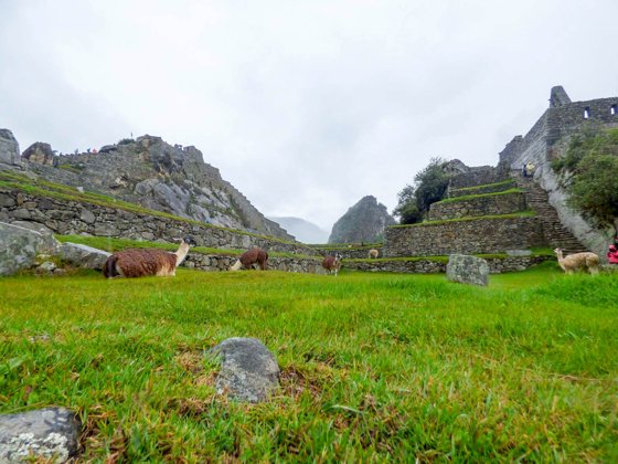 Peru, September 2014 — travel photo 56