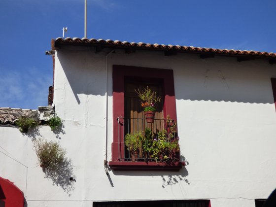 Mexican Riviera, December 2014 — travel photo 11