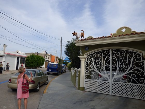 Mexican Riviera, December 2014 — travel photo 16