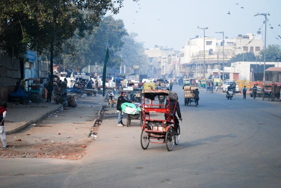 India, February 2015 — travel photo 5