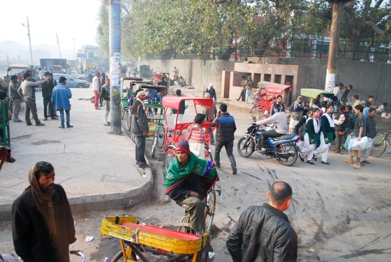 India, February 2015 — travel photo 6