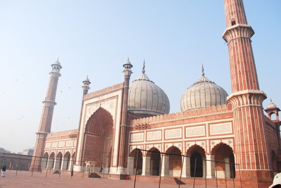 India, February 2015 — travel photo 8