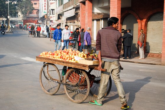 India, February 2015 — travel photo 16