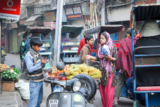 India, February 2015 — travel photo 21