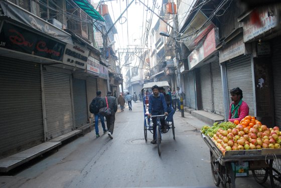India, February 2015 — travel photo 23