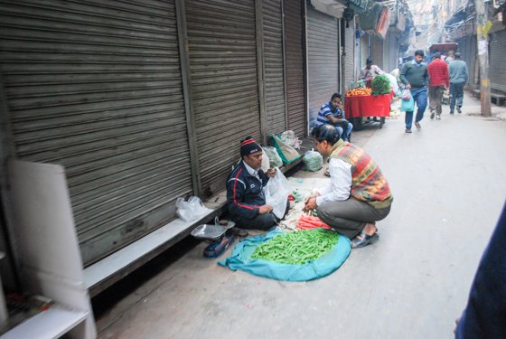 India, February 2015 — travel photo 24