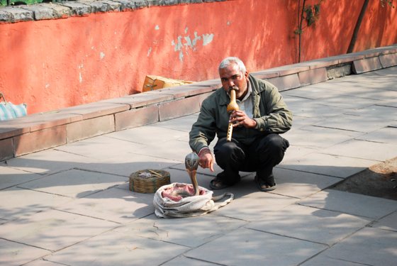 India, February 2015 — travel photo 31