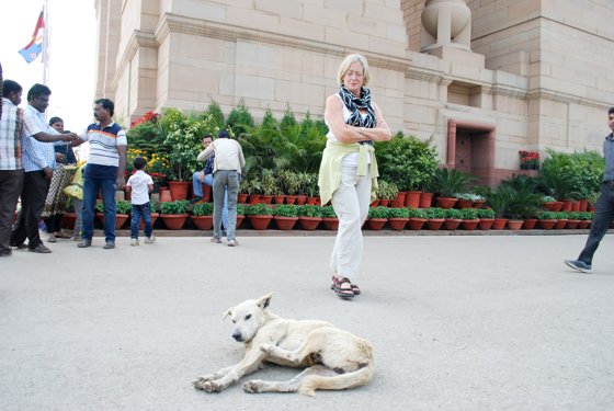 India, February 2015 — travel photo 37