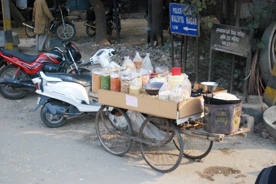 India, February 2015 — travel photo 38