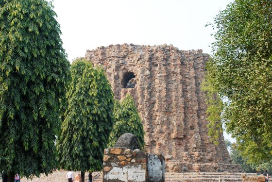 India, February 2015 — travel photo 41