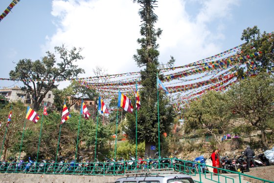 India, February 2015 — travel photo 55