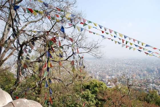 India, February 2015 — travel photo 67