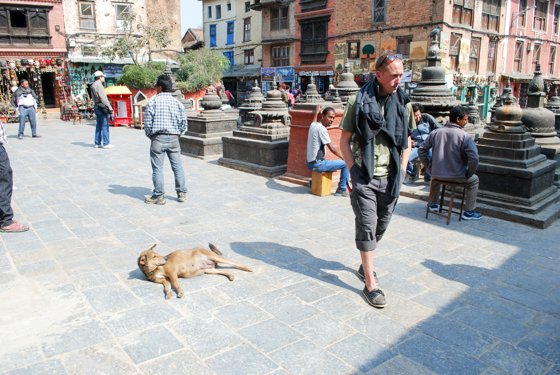 India, February 2015 — travel photo 78