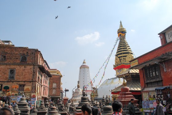 India, February 2015 — travel photo 79
