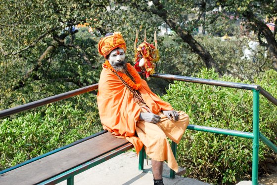 India, February 2015 — travel photo 85