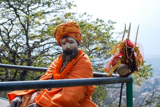 India, February 2015 — travel photo 86