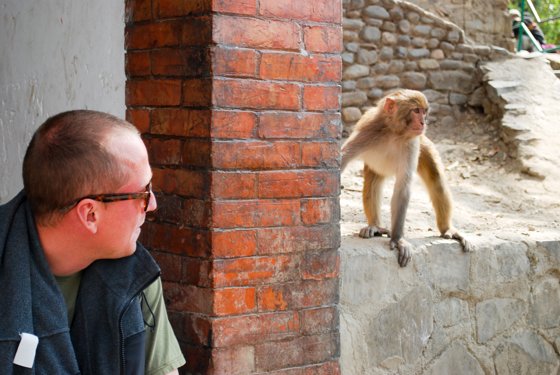 India, February 2015 — travel photo 90