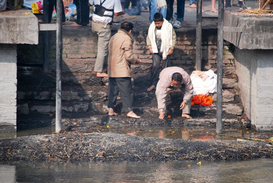 India, February 2015 — travel photo 107
