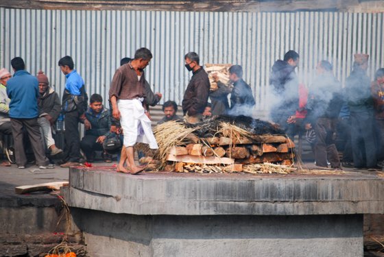 India, February 2015 — travel photo 108