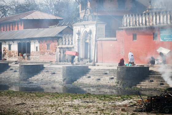 India, February 2015 — travel photo 110