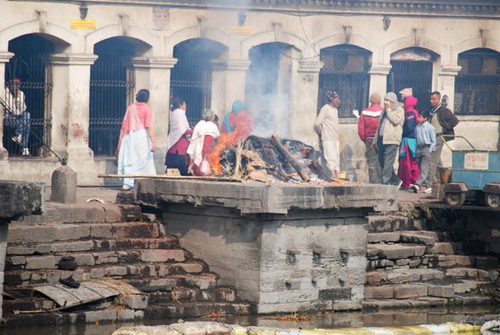 India, February 2015 — travel photo 111