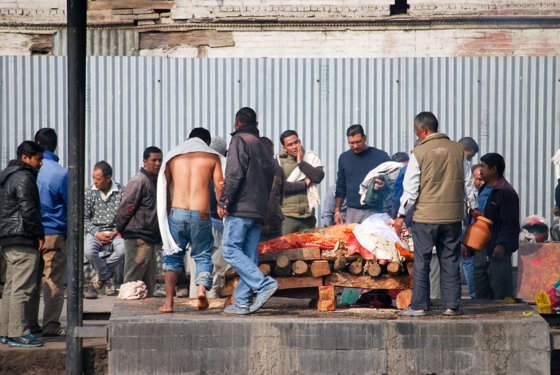 India, February 2015 — travel photo 116