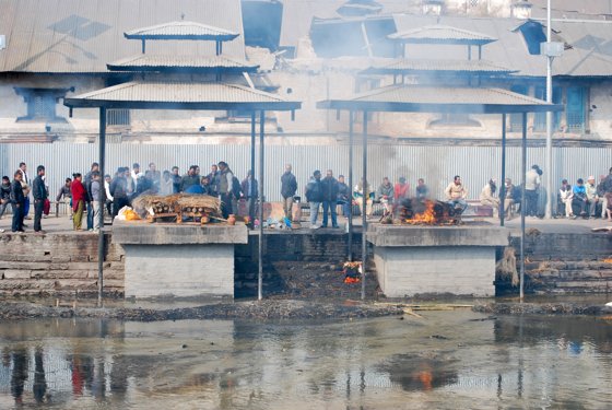 India, February 2015 — travel photo 120