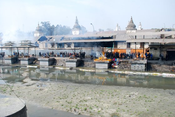 India, February 2015 — travel photo 123