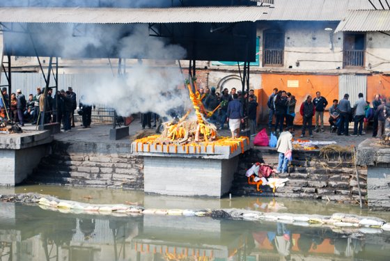 India, February 2015 — travel photo 124