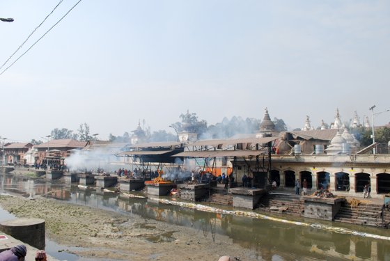 India, February 2015 — travel photo 127