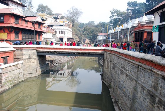 India, February 2015 — travel photo 128