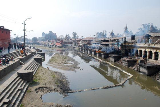 India, February 2015 — travel photo 129