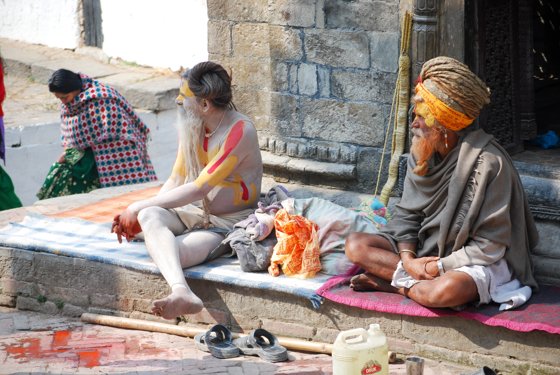 India, February 2015 — travel photo 137