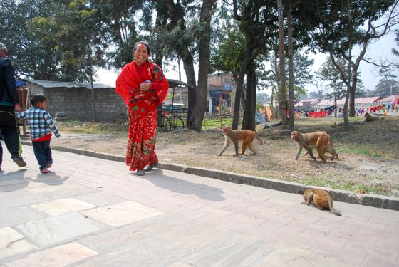 India, February 2015 — travel photo 149