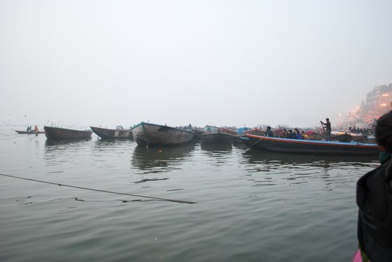 India, February 2015 — travel photo 166