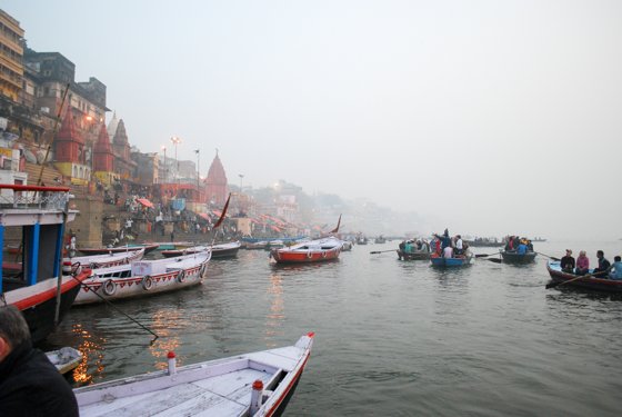 India, February 2015 — travel photo 174