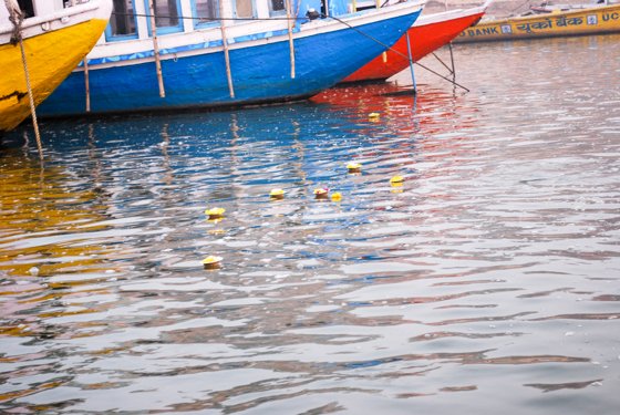 India, February 2015 — travel photo 185