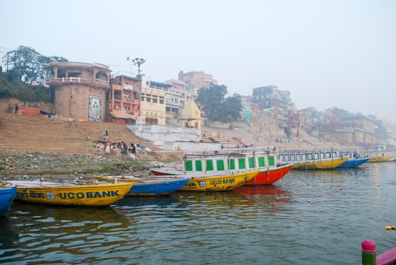 India, February 2015 — travel photo 186