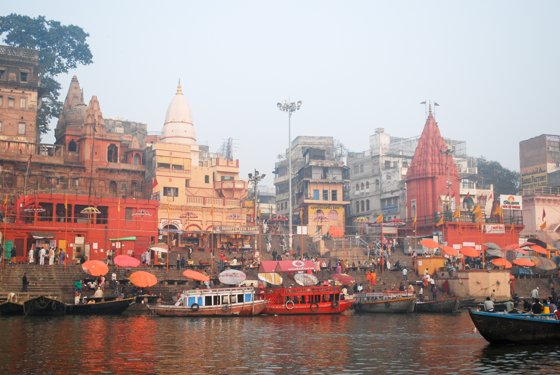India, February 2015 — travel photo 188