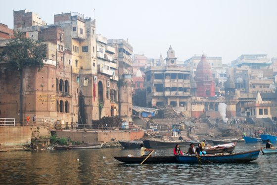 India, February 2015 — travel photo 191