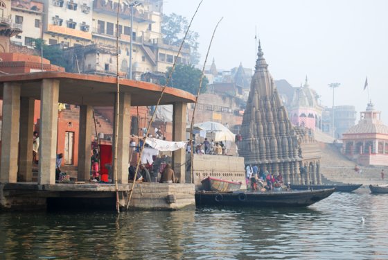 India, February 2015 — travel photo 192