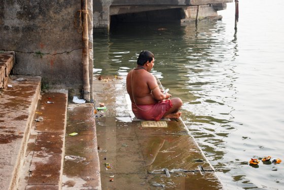 India, February 2015 — travel photo 193
