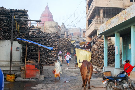India, February 2015 — travel photo 195