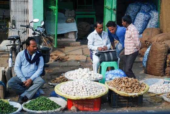 India, February 2015 — travel photo 199