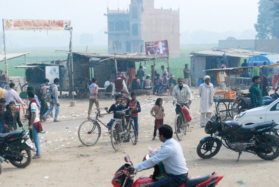 India, February 2015 — travel photo 200