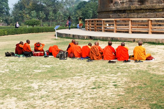 India, February 2015 — travel photo 207